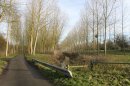 Petit Marais